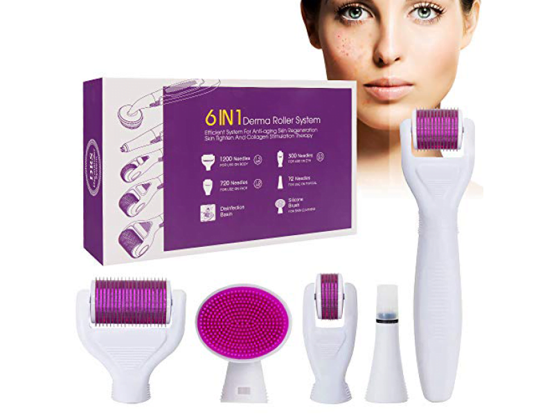 6 in 1 Derma Roller System